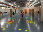 corso tigers